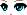 21555