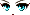 21556