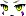 23355