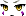 23455