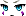 23555
