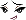 25010