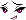 25710