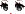 26034