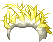 40373