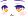 50445