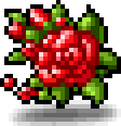 Red Rose
