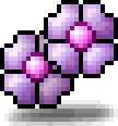 Pansy Earrings