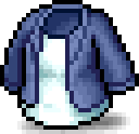 Short Denim Jacket