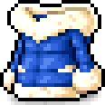 Blue Down Parka
