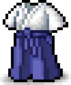 White Kendo Robe