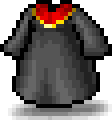 Graduation Gown