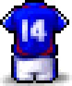 France Soccer Uniform(No.14)