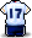 USA Soccer Uniform(No.17)