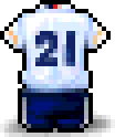 USA Soccer Uniform(No.21)