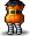 Pumpkin Clothes