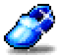 Blue Enamel Shoes