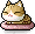 Kitty