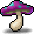 Poisonous Mushroom
