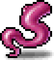 Octopus Leg