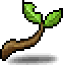 Seedling