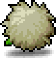 Dark Rash's Furball