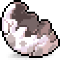 Egg Shell