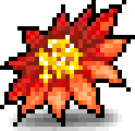 Cactus' Flower