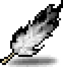 Black Feather
