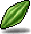 Magic Seed