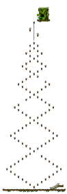 Minimap for The Forest of Patience <Step 1>