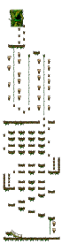 Minimap for The Forest of Patience <Step 2>