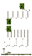 Minimap for The Forest of Patience <Step 3>