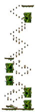 Minimap for The Forest of Patience <Step 5>