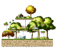 Minimap for Tiru's Forest