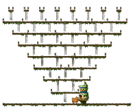 Minimap for Ola Ola <Level 2>