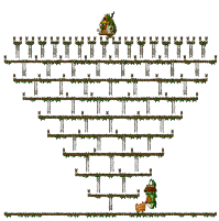 Minimap for Ola Ola <Level 3>