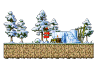 Minimap for Dangerous Forest