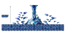 Minimap for Entrance to Horntail's Cave