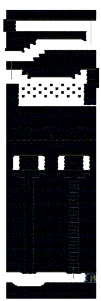 Minimap for The Unknown Underground Passage
