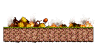 Minimap for Burning Forest 3