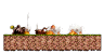 Minimap for Burning Forest 1