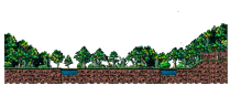 Minimap for Gloomy Forest