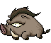Wild Boar