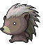 Black Porky